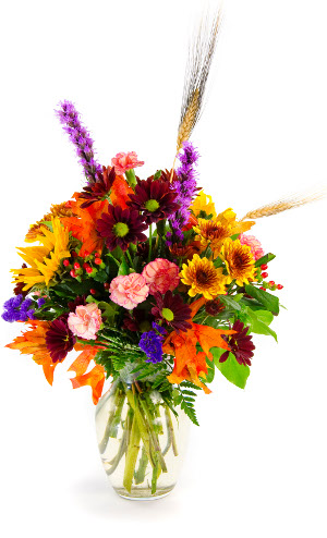 <b>Notice</b>: Undefined index: name in <b>/home/stranges/public_html/shop/vqmod/vqcache/vq2-catalog_view_theme_default_template_product_search.tpl</b> on line <b>386</b>